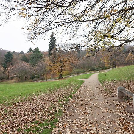 Beautiful Apartment In D Rnthal Near The Forest Voigtsdorf Exterior foto